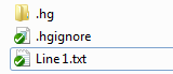 Added Files